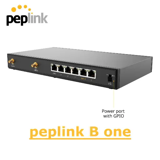 Router Peplink B One
